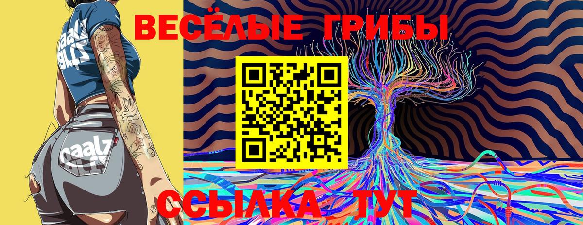 купить   Галлюциногенные грибы Psilocybine cubensis  Вход с VPN  Псилоцибиновые грибы Cubensis  Мценск 